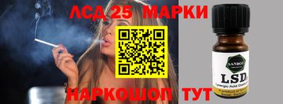прущие грибы Краснокаменск