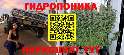 прущие грибы Краснокаменск