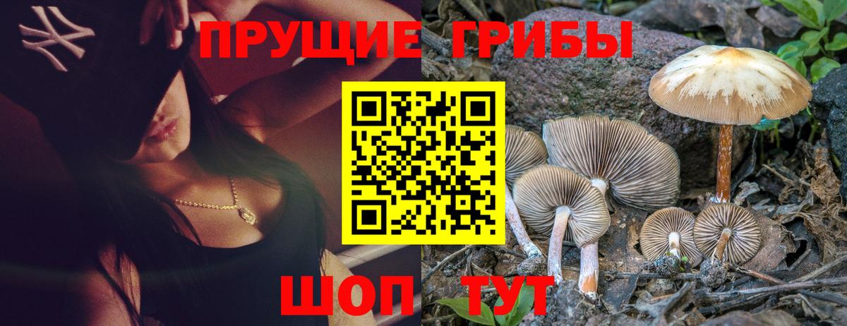 Псилоцибиновые грибы Psilocybine cubensis  Вход с VPN  Камышин 