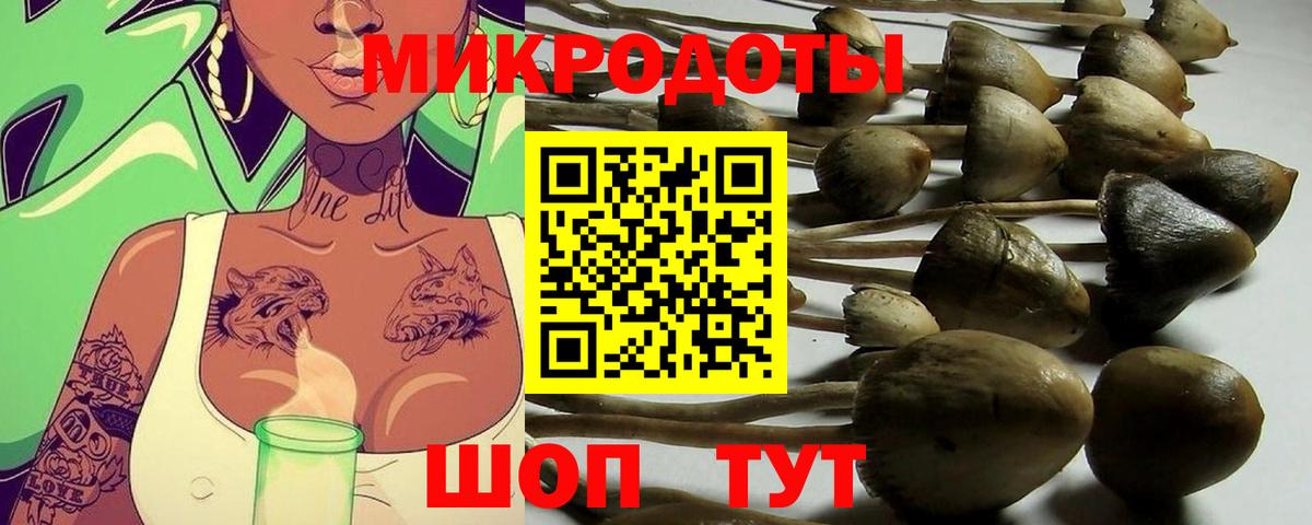 Галлюциногенные грибы прущие грибы Камышин